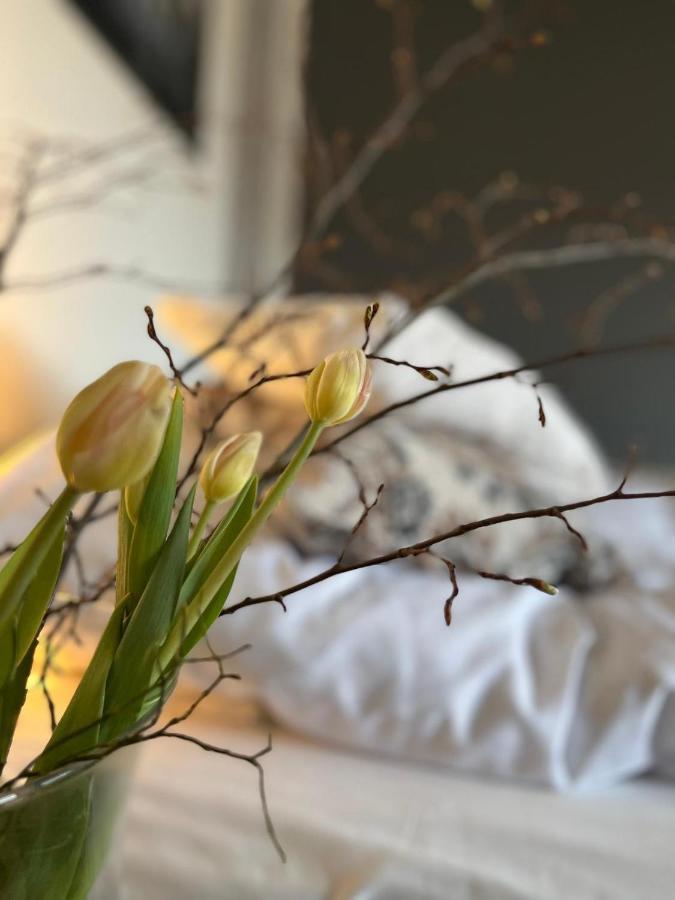 Froejel Resort & Spa Εξωτερικό φωτογραφία