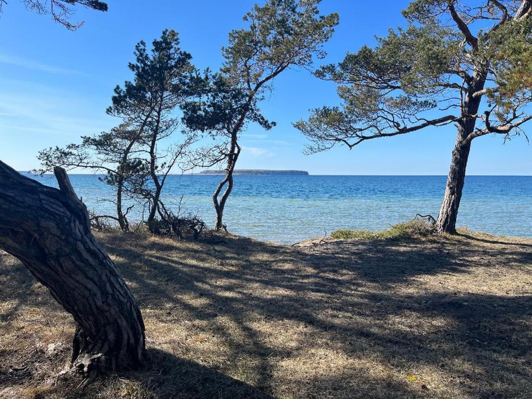 Froejel Resort & Spa Εξωτερικό φωτογραφία